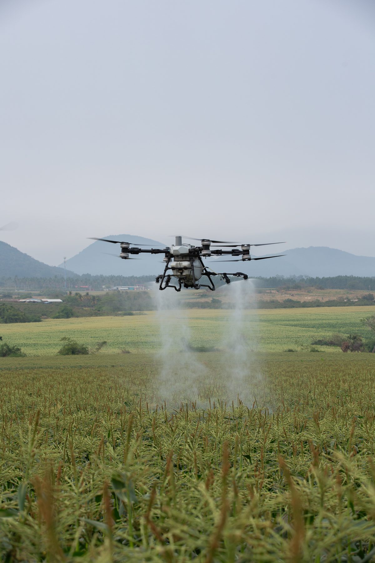 DJI Agras T100 en campo