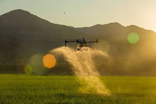 DJI Agras T25P pulverizando en campo