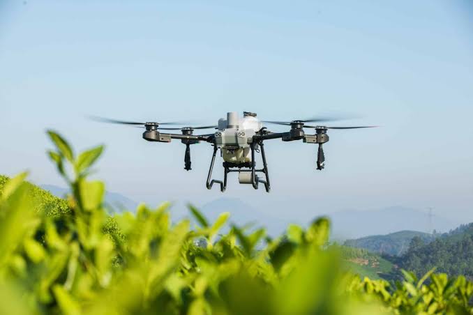 DJI Agras T25P pulverizando